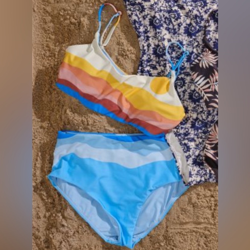Andie Multicolor Striped Bikini